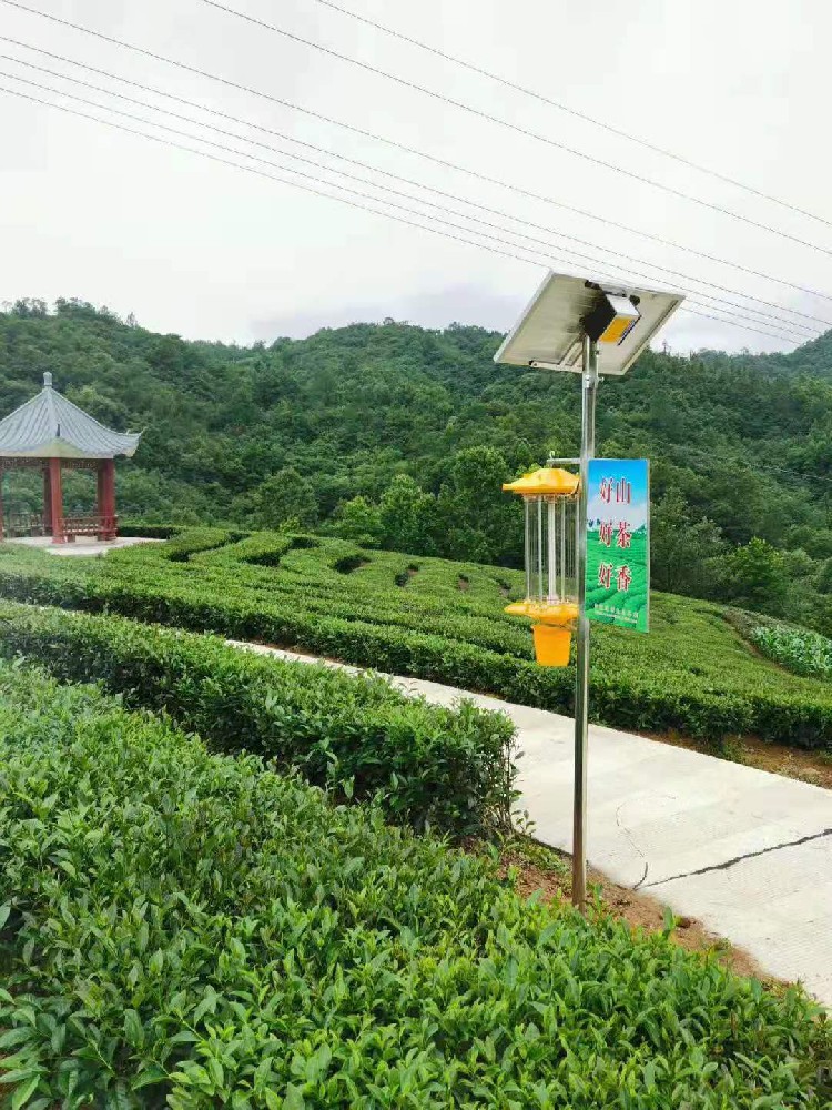 小型單網(wǎng)太陽(yáng)能殺蟲(chóng)燈